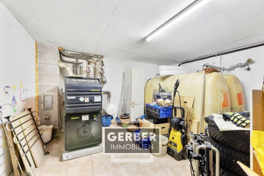 27 KG Heizung Einfamilienhaus Falkenstein/Vogtland Trieb