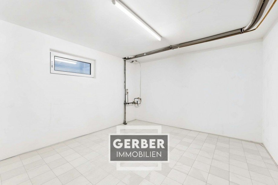 25 KG HWR geleert - (KI generiert) Einfamilienhaus Falkenstein/Vogtland Trieb