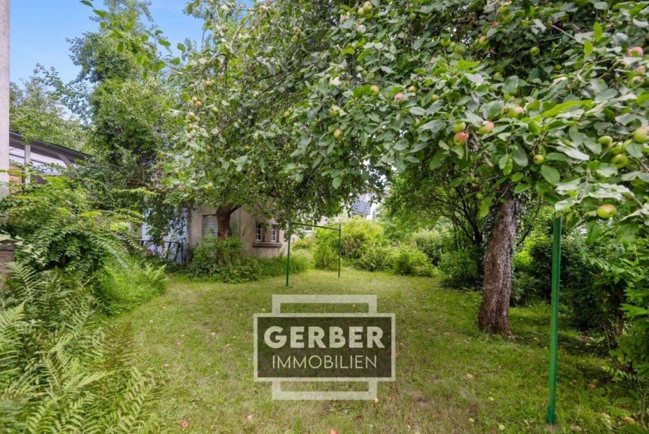 07kl Doppelhaush�lfte M�nchberg