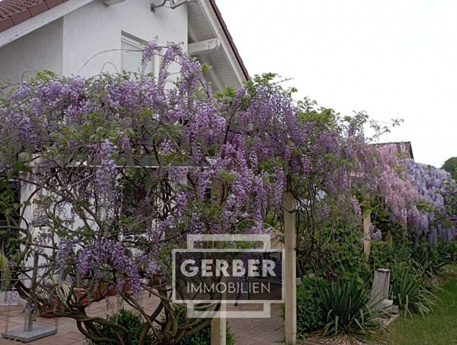  Einfamilienhaus Falkenstein/Vogtland Trieb