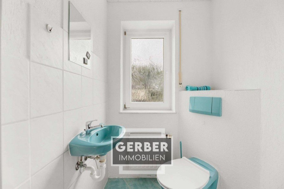 24 EG kl Einfamilienhaus Falkenstein/Vogtland Trieb