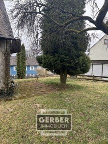 Garten Sanierungsobjekt nur f�r Handwerker, Schimmel