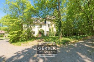 Hauptbild Sanierungsobjekt nur f�r Handwerker