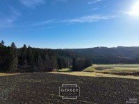 Bild (b3747a84f8675de19ce40e90a4a0072b): Sofort einziehen: sehr sch�ne Wohnung mit toller Aussicht