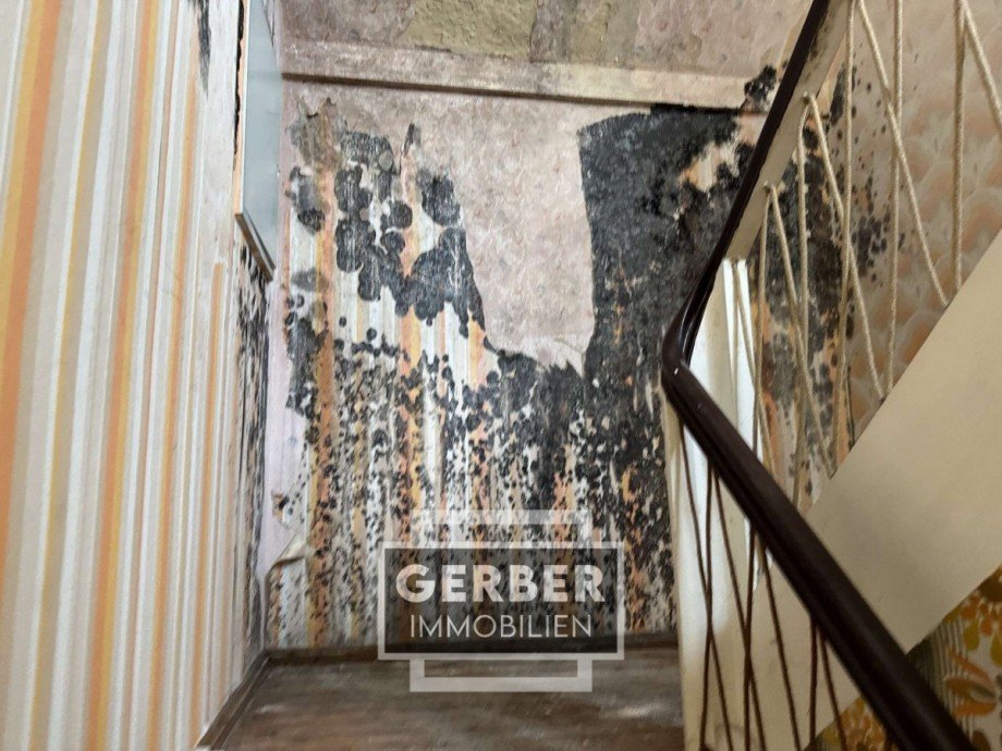 Schimmel Treppenhaus Einfamilienhaus Marlesreuth