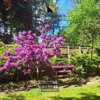 Bild (f6065ad0b2b643471ef5dc300a46a704): Herrschaftliches Haus, Flair, Park, viel Platz, im Zentrum, bis 3 Einheiten