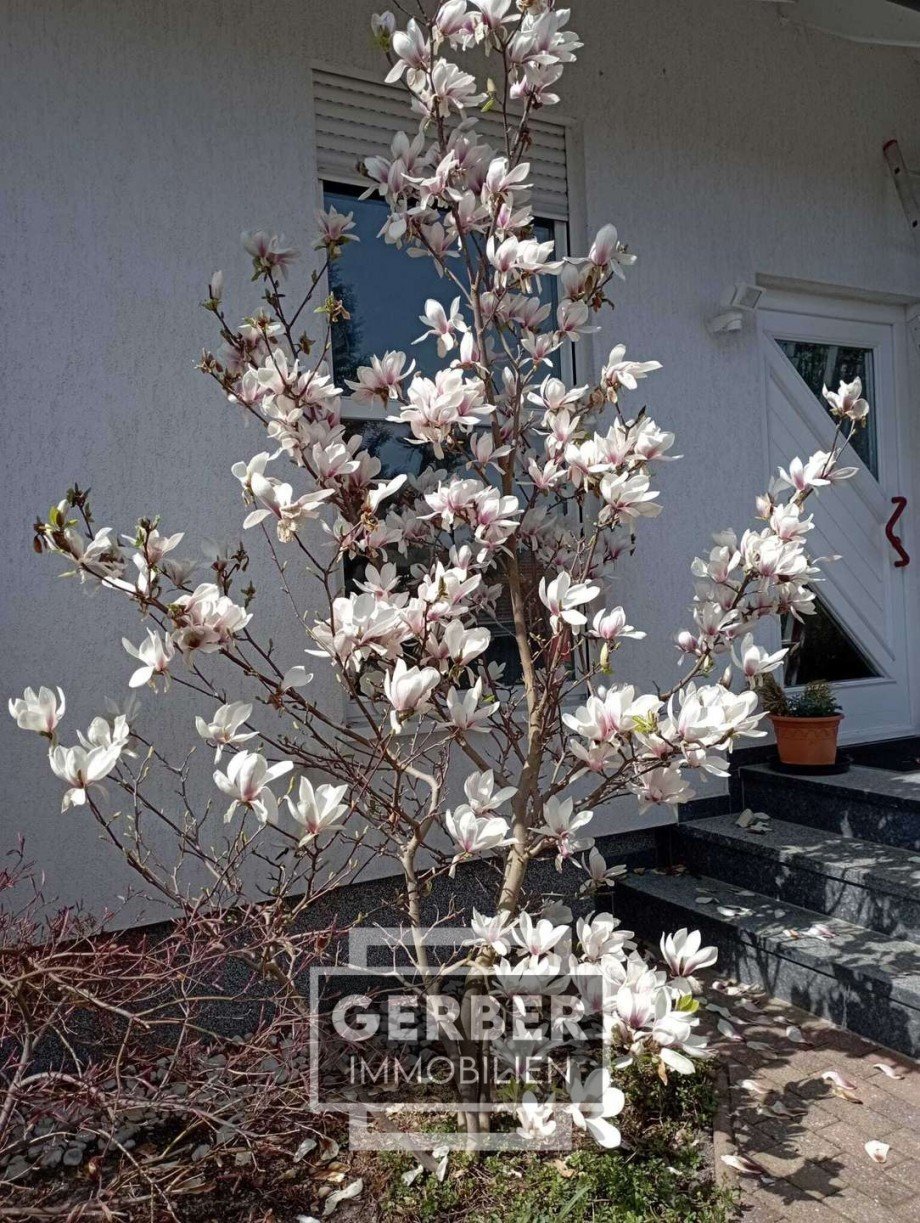  Einfamilienhaus Falkenstein/Vogtland Trieb
